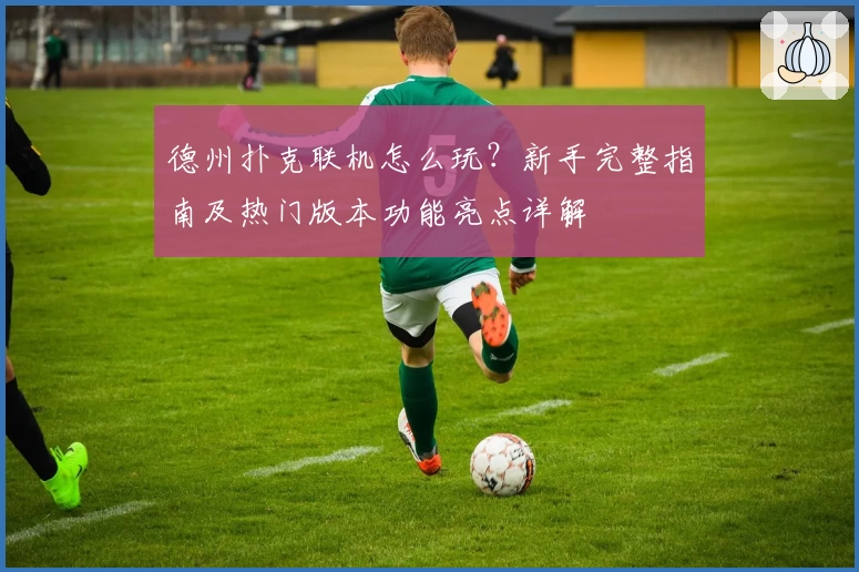 德州扑克联机怎么玩？新手完整指南及热门版本功能亮点详解