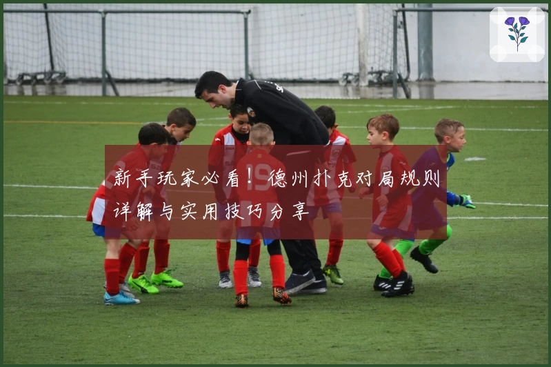 新手玩家必看！德州扑克对局规则详解与实用技巧分享