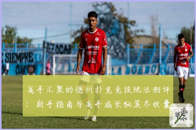 高手汇聚的德州扑克竞技玩法测评：新手指南与高手成长秘笈尽收囊中