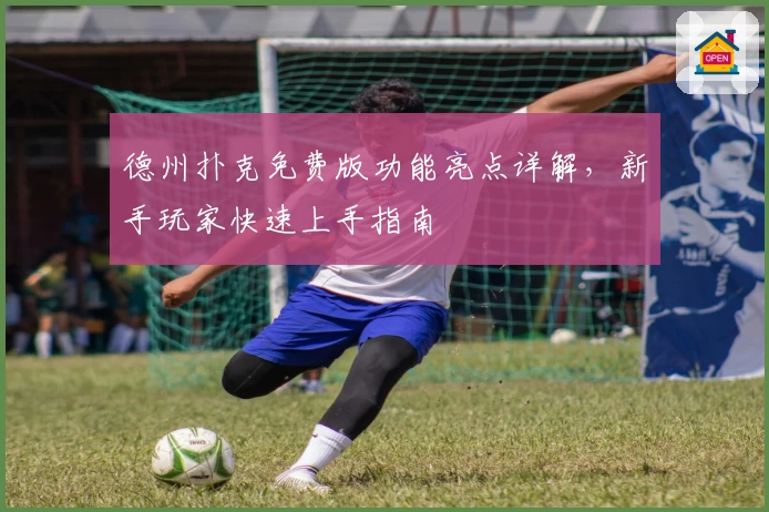 德州扑克免费版功能亮点详解，新手玩家快速上手指南