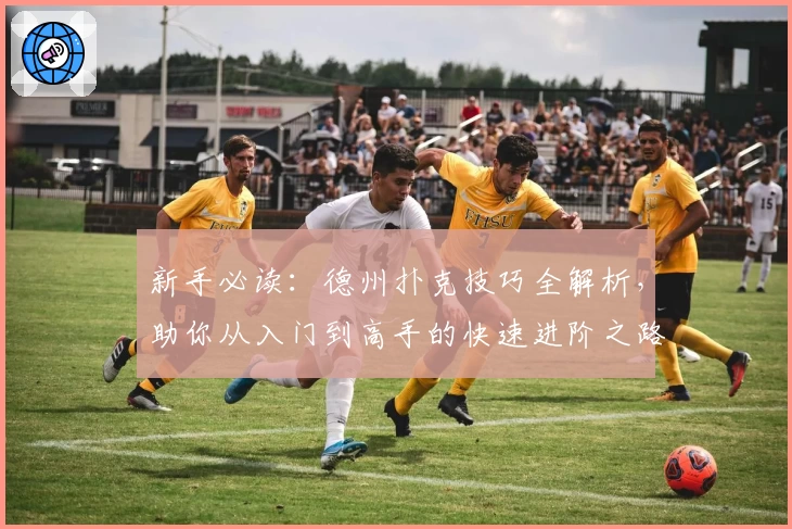 新手必读：德州扑克技巧全解析，助你从入门到高手的快速进阶之路