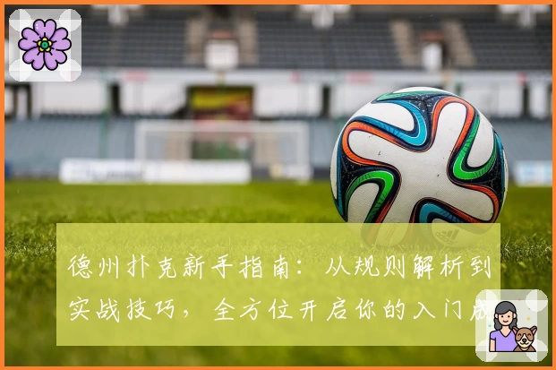 德州扑克新手指南：从规则解析到实战技巧，全方位开启你的入门成长之路
