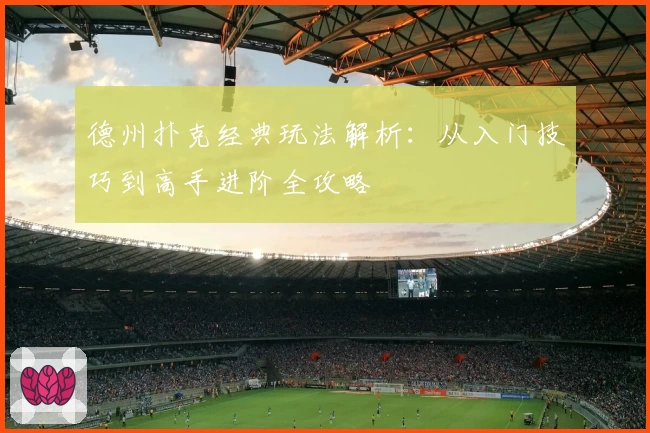 德州扑克经典玩法解析：从入门技巧到高手进阶全攻略